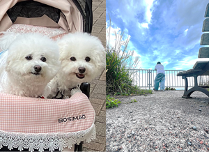 プライベート写真