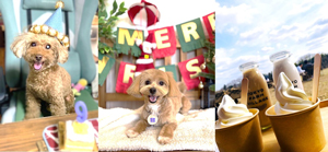 プライベート写真